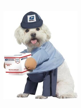 California Costumes Dog Mail Carrier Outfit in Light Blue and Navy - No Box!